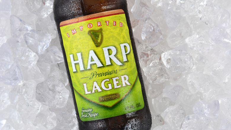 Harp Lager bottle of beer