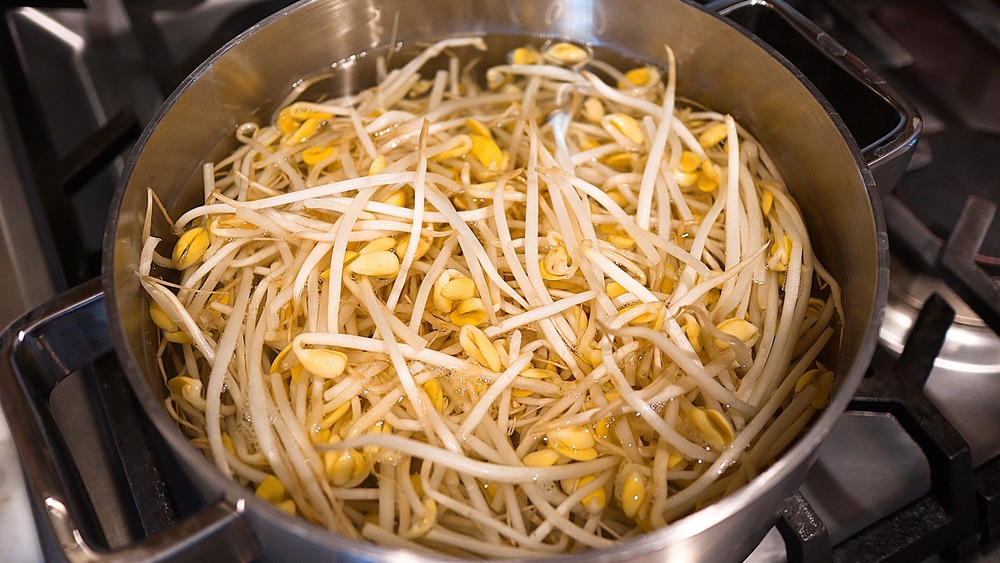 Bean sprouts for bibimbap boiling in water