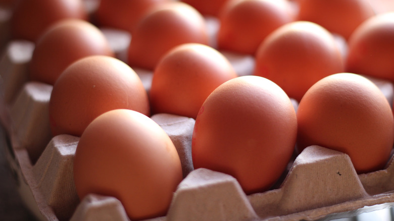 Close-up of eggs in a carton