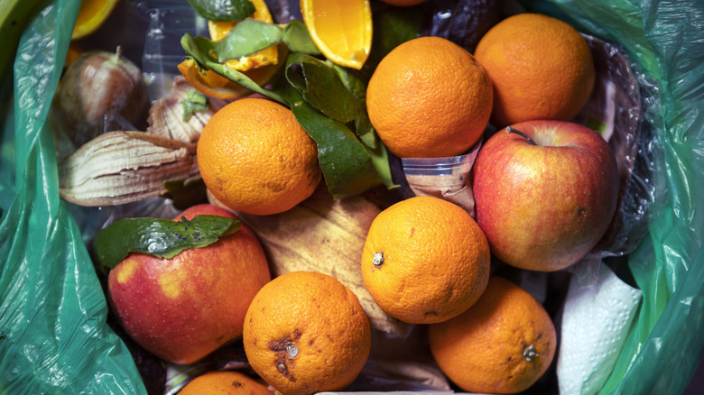 produce in the garbage