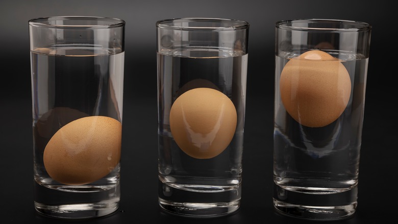 three eggs in three glasses of water