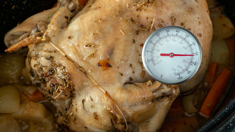 chicken meat thermometer