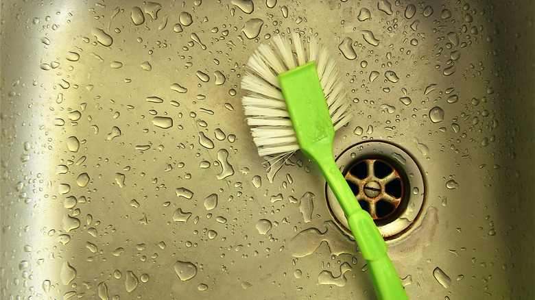 Water and cleaning brush in sink