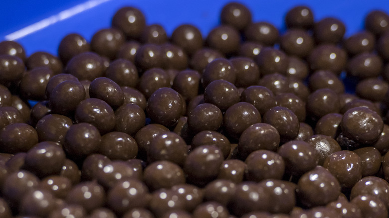 chocolate covered blueberries