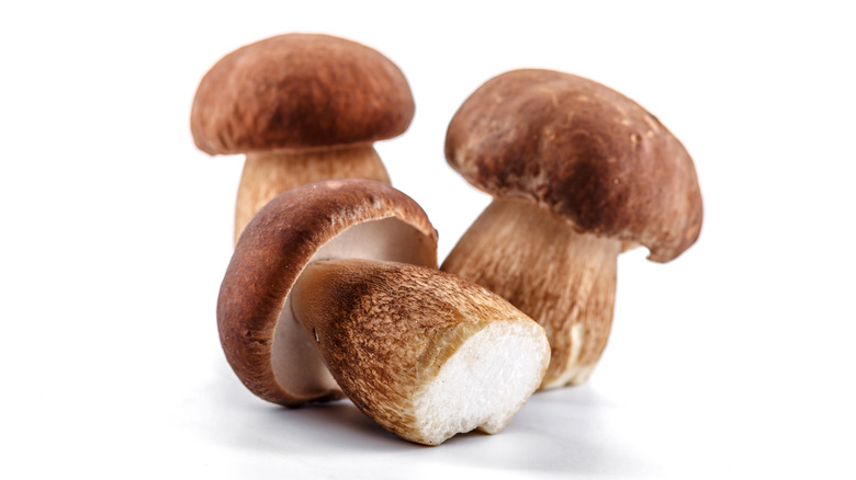 Three mushrooms