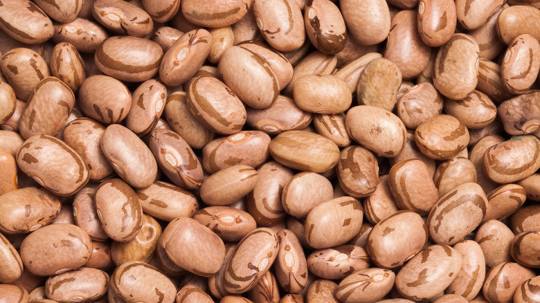 close up dried pinto beans