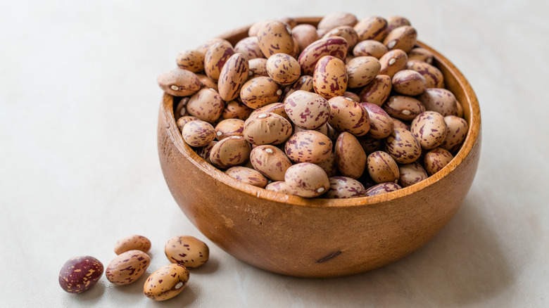 bowl of dried pinto beans