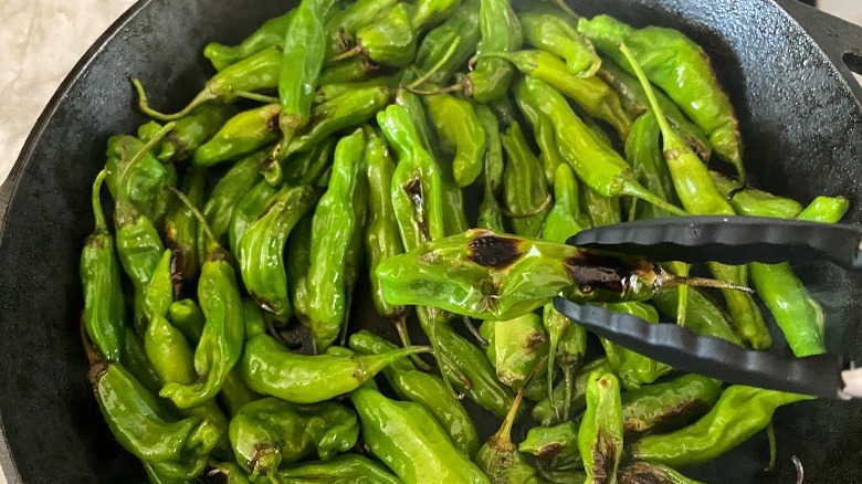 shishito peppers in skillet