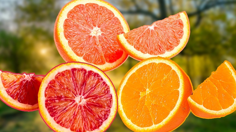 Navel oranges, blood oranges, and Cara Cara oranges