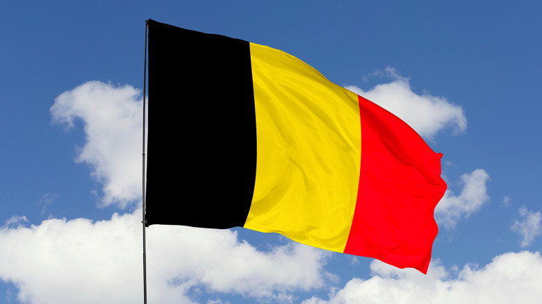 Belgian flag blowing in sky