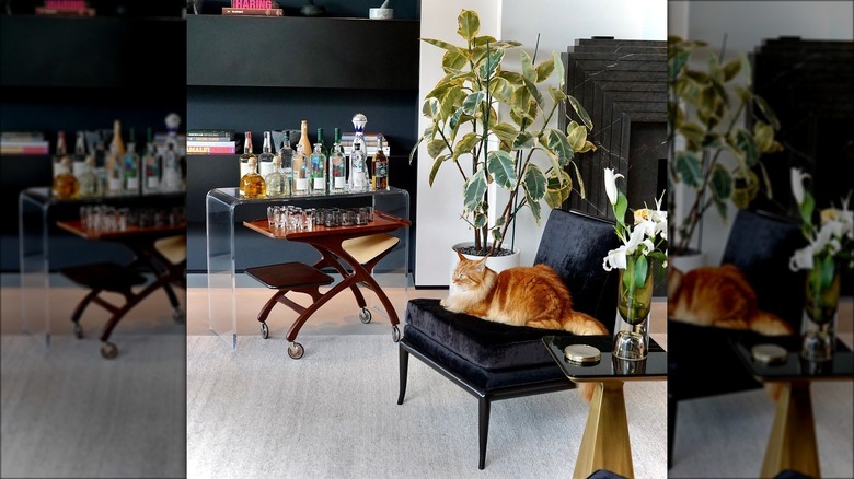 Nacho Flay sitting on a chair in front of a home bar