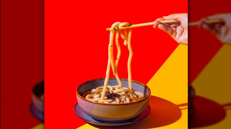 Udon Noodle Soup with noodles pulled up