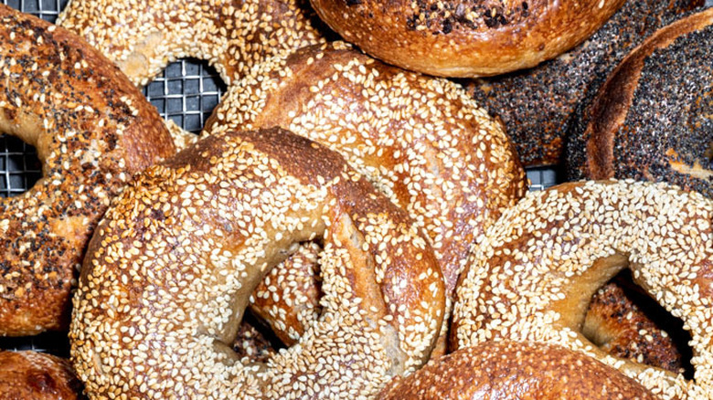 Group of seeded bagels