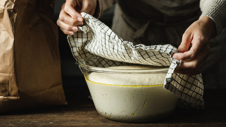 Covering rising dough with cloth