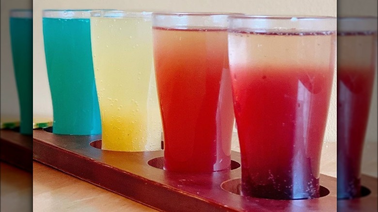 colorful mimosa flight