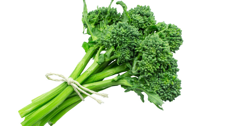 Broccolini bunch tied with string