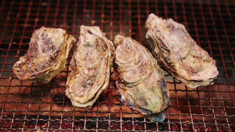 Closed oysters being broiled