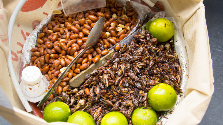 Grasshoppers and peanuts as snacks
