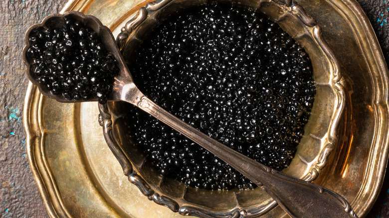 bowl with black caviar