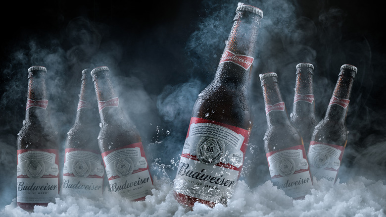 Bottles of Budweiser beer on ice