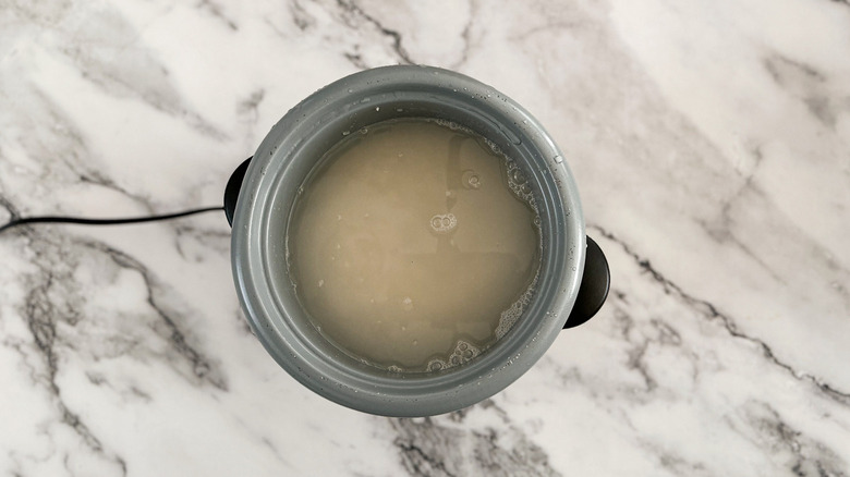 rice and water in pot