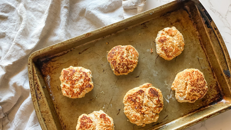 Buffalo chicken patties on baking sheet