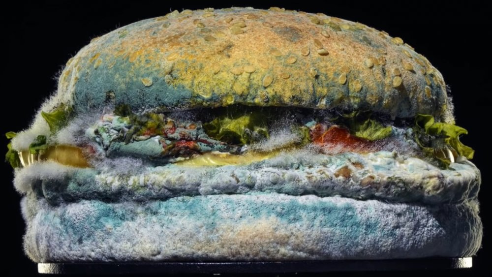 Moldy Whopper