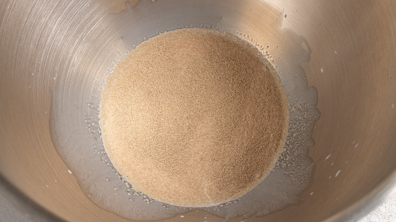 Dry yeast in milk 