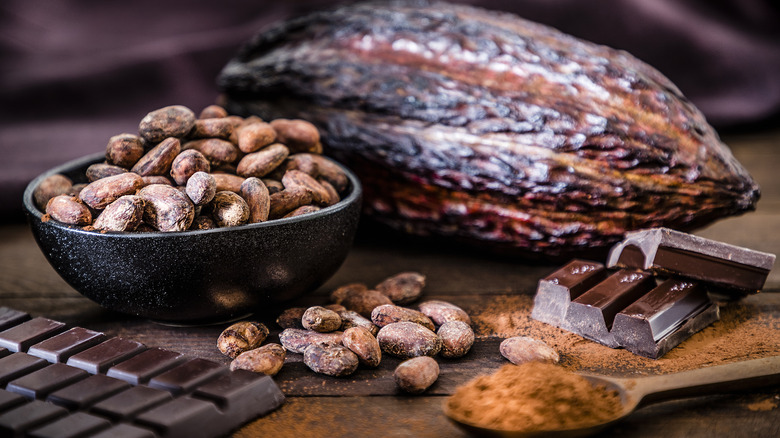 Cacao pod and beans