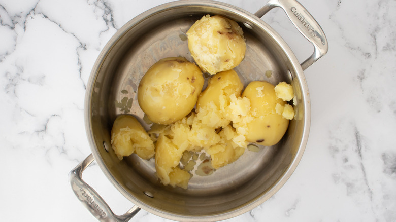 cooked potatoes in pot