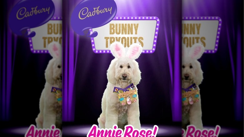 Dog dressed as Cadbury bunny