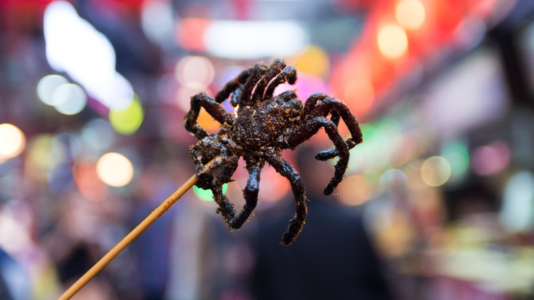 Fried tarantula on a stick