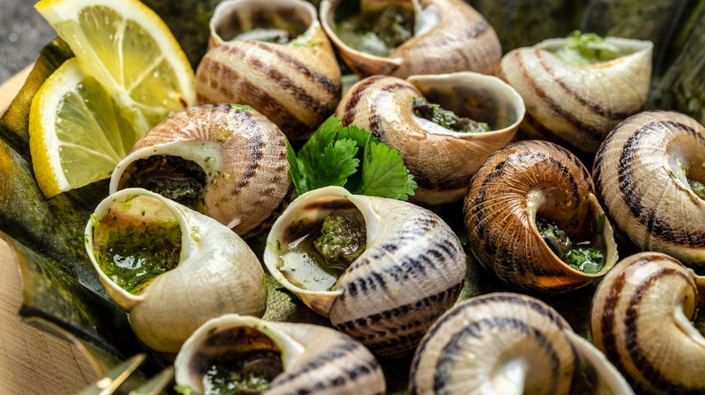 escargots on plate