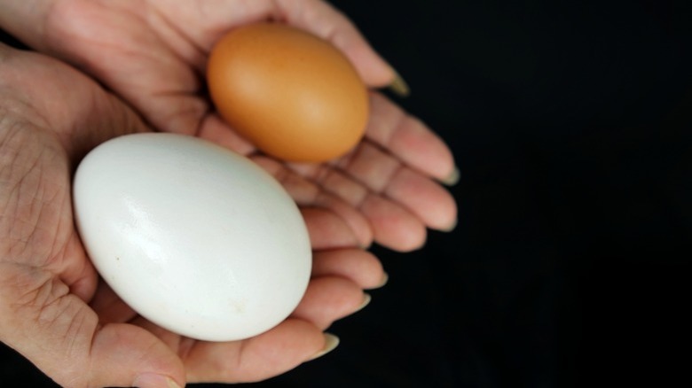 One hand holding a chicken hand next to one hand holding a goose egg with black background