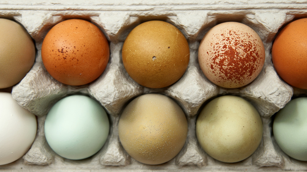 Eggs of different colors in a carton