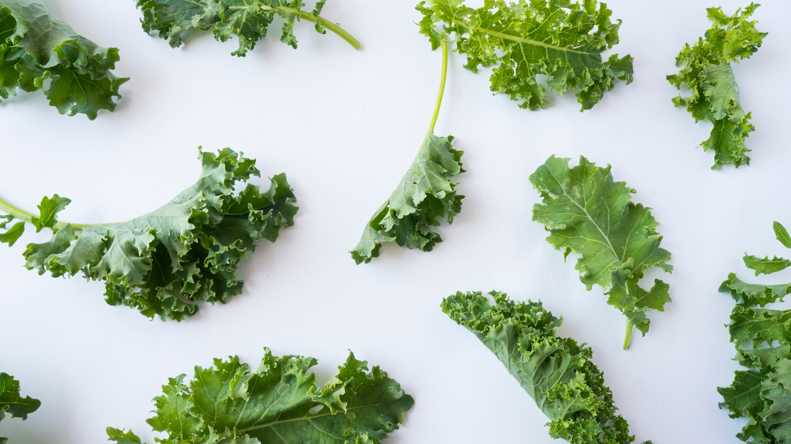 can-you-put-kale-in-the-freezer