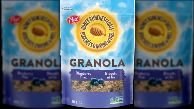 Packet of Blueberry Flax Granola 