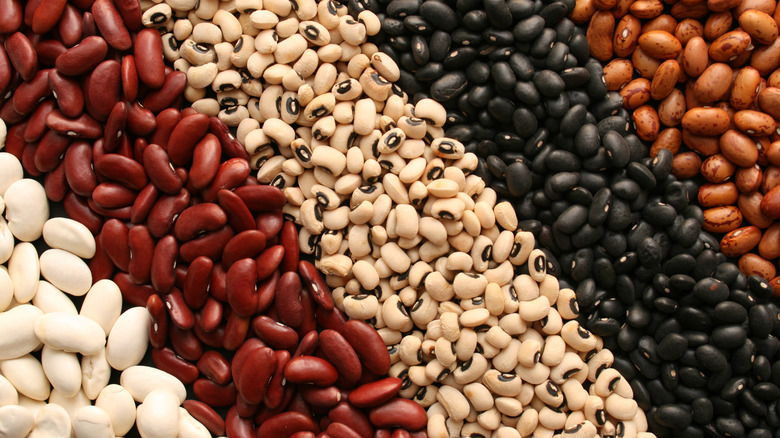 a variety of dried beans