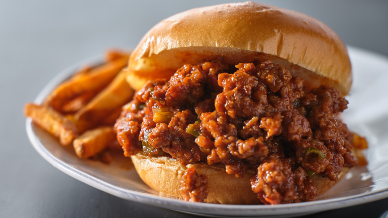 Sloppy joe and fries on plate