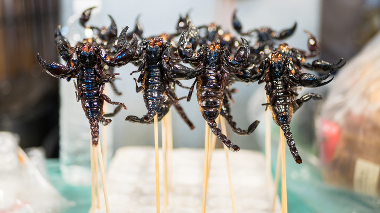 fried scorpion on a stick