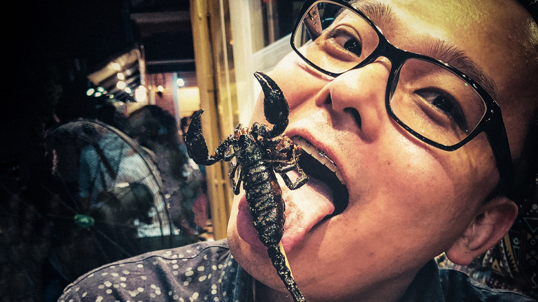 person eating fried scorpion