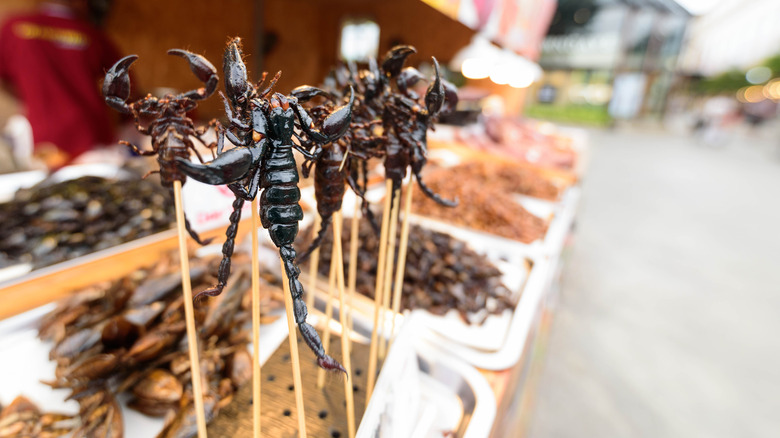 fried scorpion on a stick