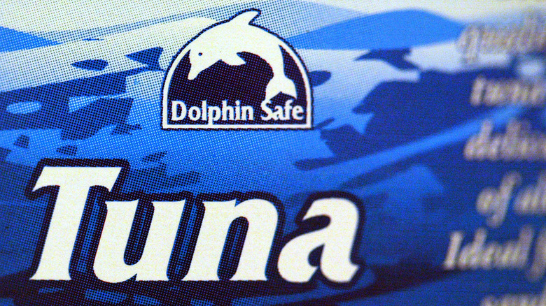 Canned Tuna Myths Exposed By Fish Experts