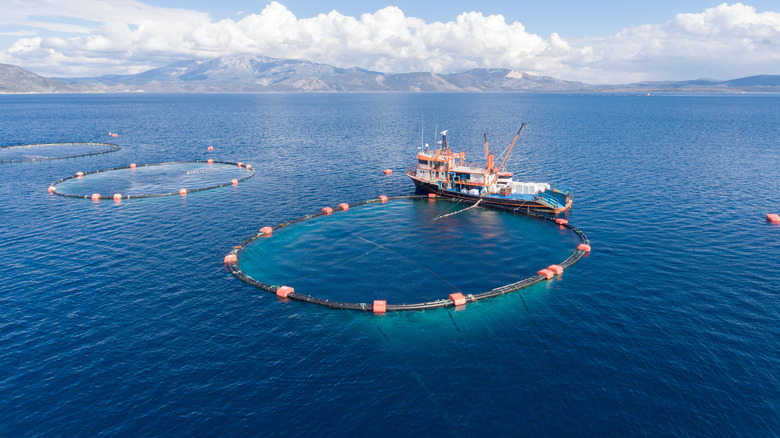 Open sea fish farm and boat