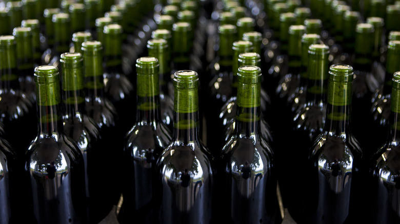 bottles of unlabeled wine are lined up and corked