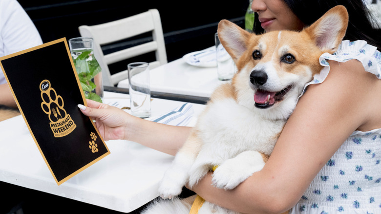 Dog and pet-owners with menu