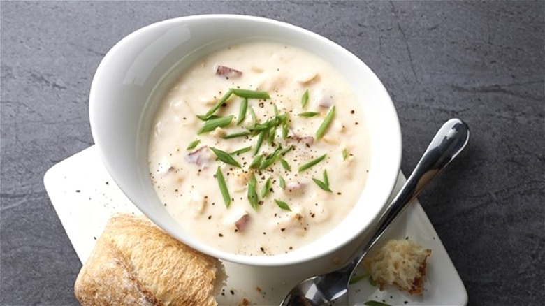 Cup of clam chowder