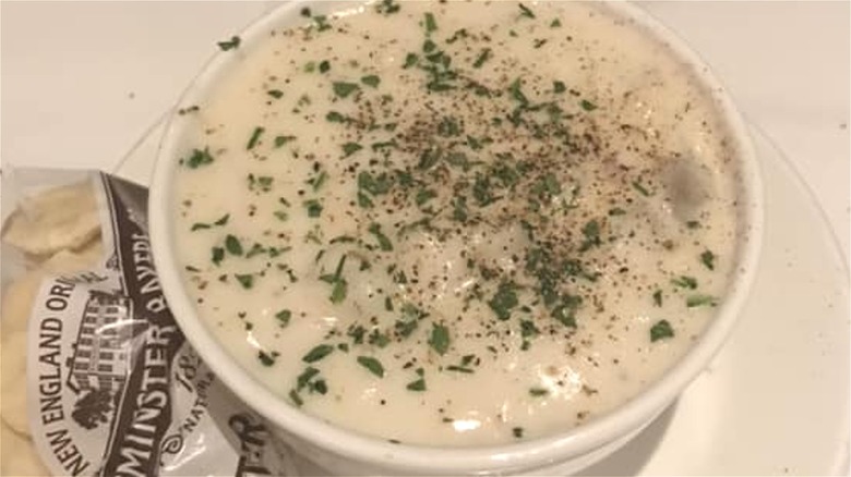 Clam chowder in cup