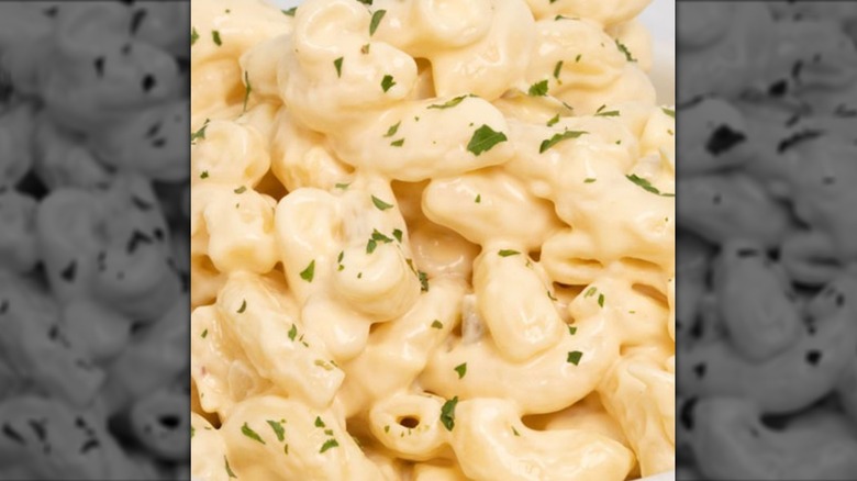 closeup of macaroni salad