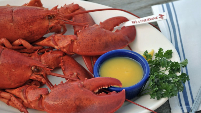 Weathervane Seafood Restaurants lobsters